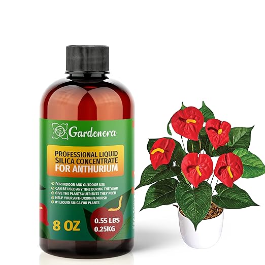 𝐏𝐑𝐄𝐌𝐈𝐔𝐌 Liquid Silica Plant Supplement - 8oz (250mL) - ANTHURIUM Plants Liquid Silica Boost Fertilizer - Stronger Stems & Healthy Leaves for Indoor & Outdoor Anthurium Plants (Makes 45 Gallons)