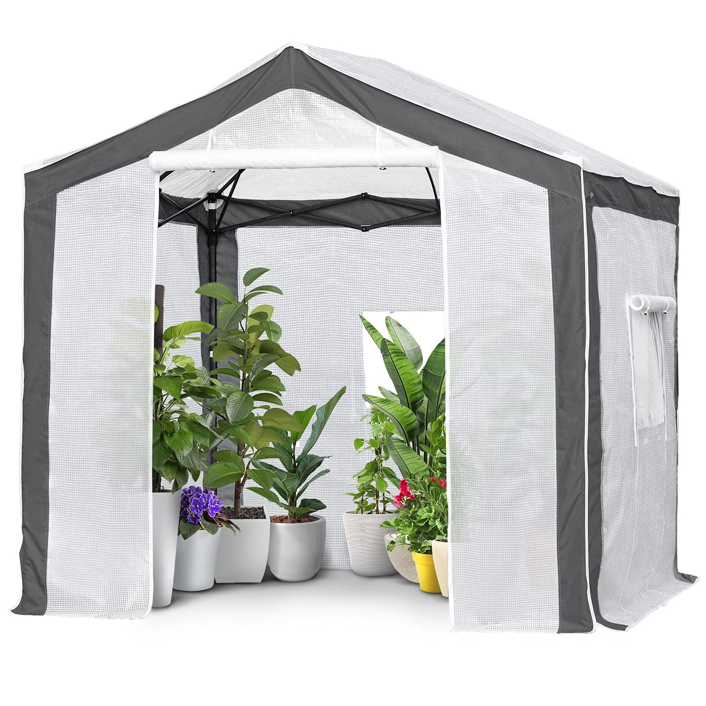 EAGLE PEAK 8x8 Portable Walk in Greenhouse with Polyester Reinforced Corners, Heavy Duty Instant Pop Up Indoor Outdoor Green House, Front Roll Up Zipper Entry Door and Mesh Windows, Gray/White