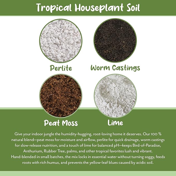 Tropical House Plant Potting Mix (2 Quarts); for All Types of Indoor House Plants