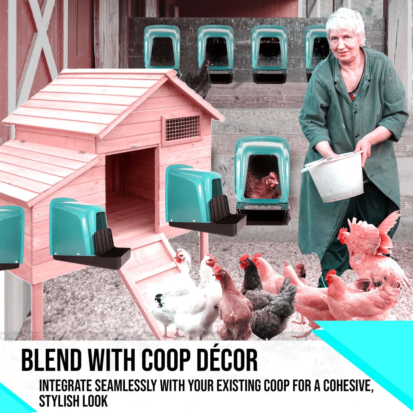 TOSSCA Nesting Boxes for Chicken Coops | Roll Away Hen House for Laying Eggs | Durable Plastic Chick Brooder Box with Perch & Pull Out Egg Tray for Poultry Farm | Chicken Coop Accessories (Pack of 5)