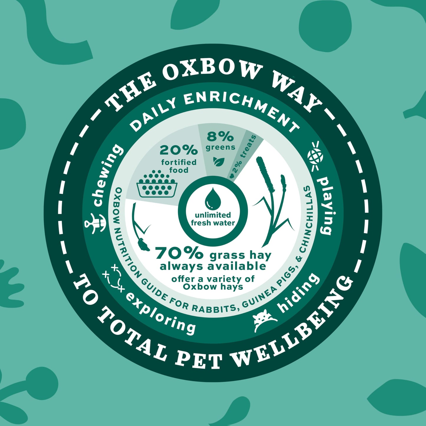 Oxbow Animal Health Western Timothy Hay, Bunny Food, All Natural Hay for Rabbits, Guinea Pig, Chinchillas, Hamsters & Gerbils, Rabbit Treats, Veterinarian Recommended, 15 oz.