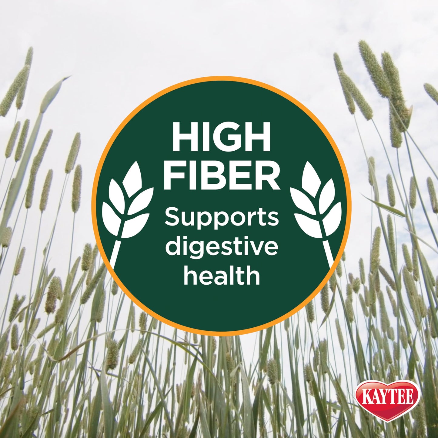 Kaytee First Cut Timothy Hay, High Fiber, Grown Specifically for Small Animals, Rabbits, Guinea Pigs, Chinchillas, 6.5 Pounds