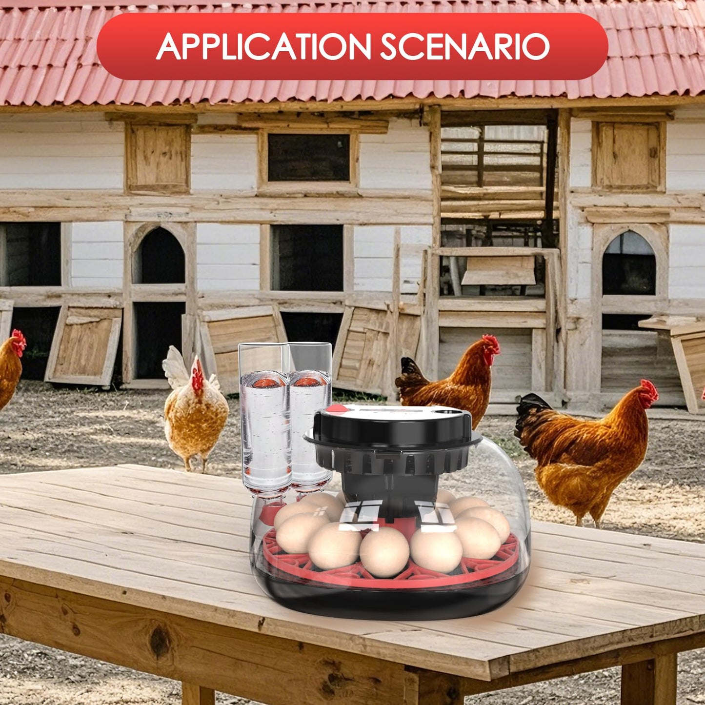 Incubators for Hatching Eggs Automatic Egg Incubator with Temperature Control Humidity Display 12 Egg Capacity for Chicken Duck Goose Eggs Digital Display Auto Turner 360° View