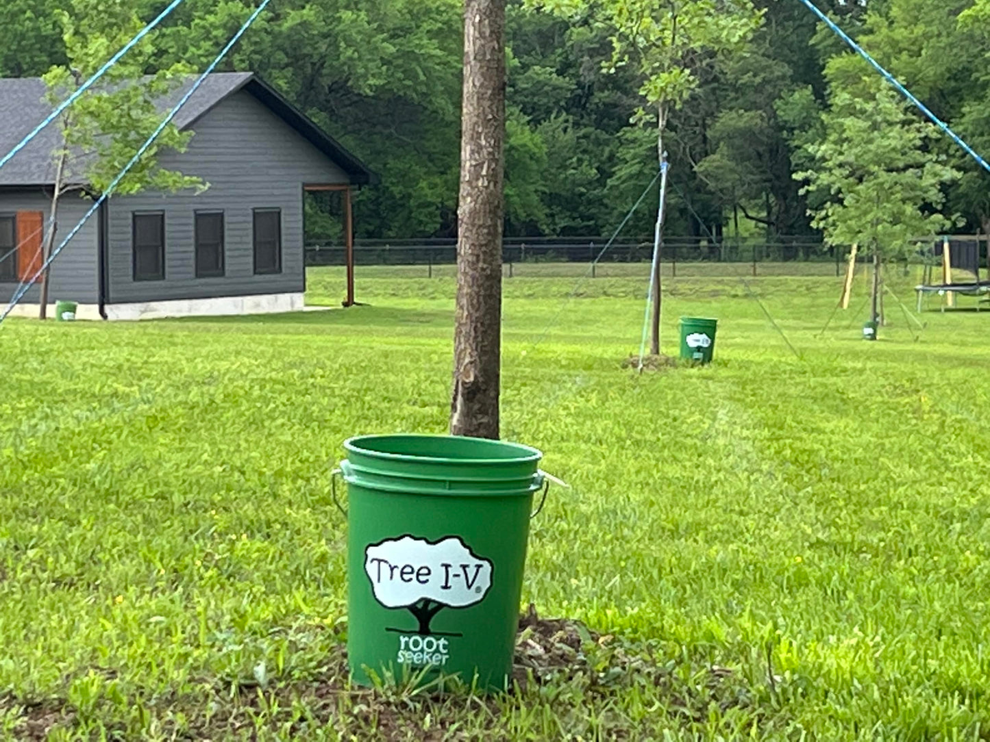 Tree I-V 6-Pk Original Base Root Feeder Watering System - Durable Self-Supported 5-Gal Reservoir with No-Hands Filling - Water 6 Trees in 6 Minutes - Weekly