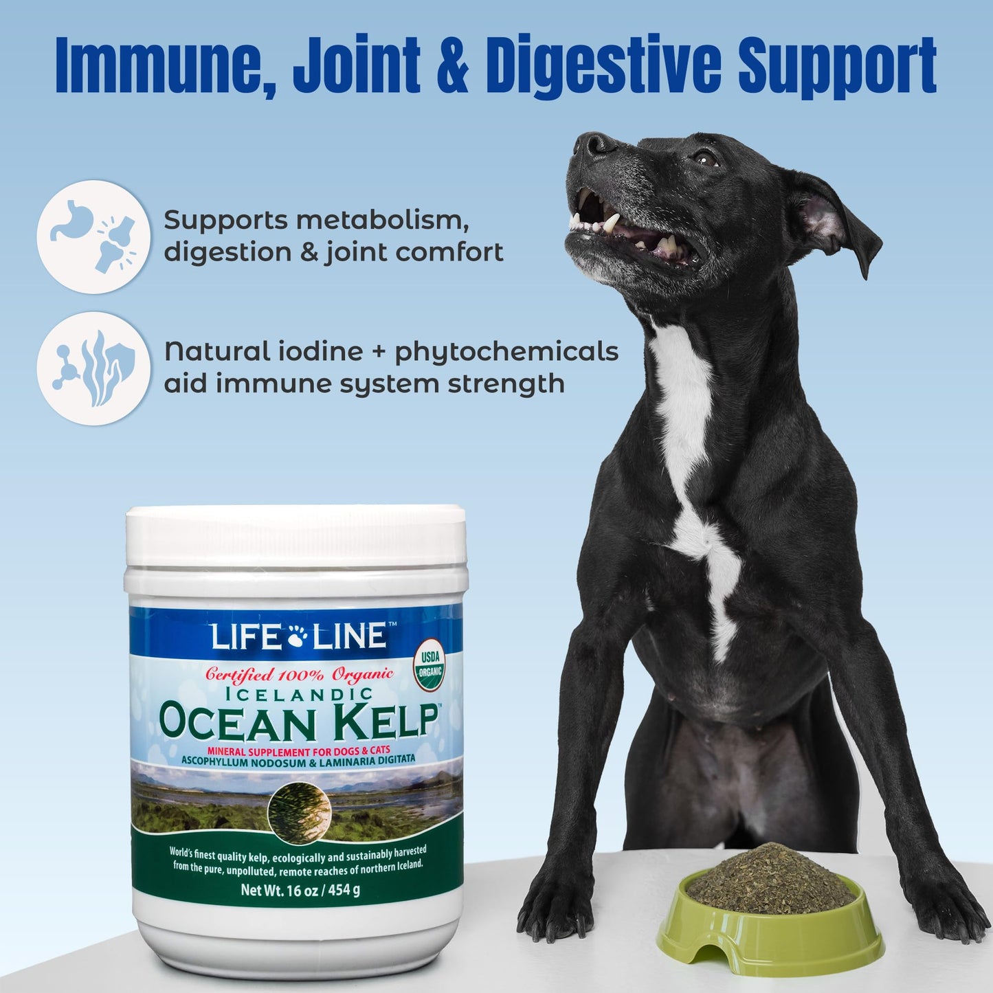 Life Line USDA Certified Organic Ocean Kelp for Pets & Livestock | Supports Skin & Coat Health, Immune Function, and Dental Hygiene | Promotes Metabolism & Reduces Plaque and Shedding – 16 oz
