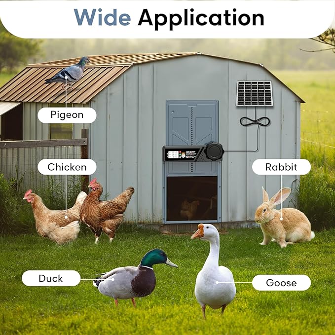 Large Size Automatic Chicken Coop Door Solar - Powered Auto Chicken Door Opener, Timer Modes for Safe and Convenient Chicken Keeping with Intelligent Obstacle Sensors, Remote Control, 14.2"H x 10.83"L