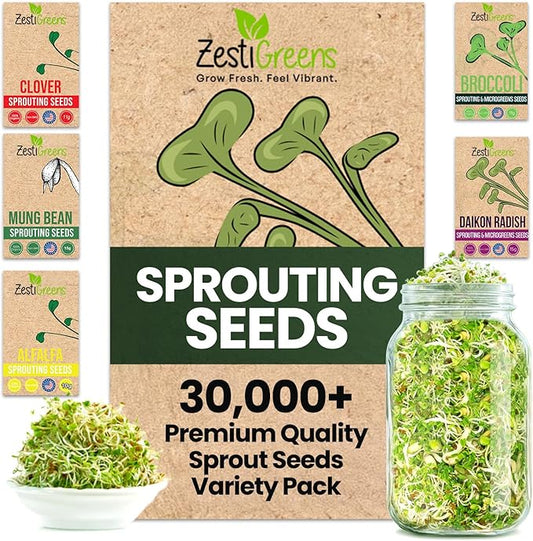 ZestiGreens Sprouting Seed Sampler – 5 Top Varieties (2 Packs Each, 11 g) | Broccoli, Alfalfa, Mung Bean, Clover & Daikon Radish | High-Germination, Perfect for Jars & Trays