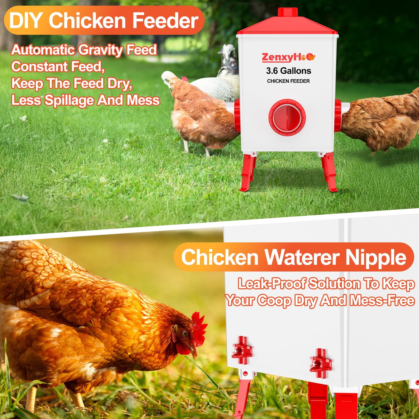ZenxyHoC Chicken Feeders and Waterers, 4 Ports Chicken Feeder No Waste and 4 Packs Chicken Water Nipples