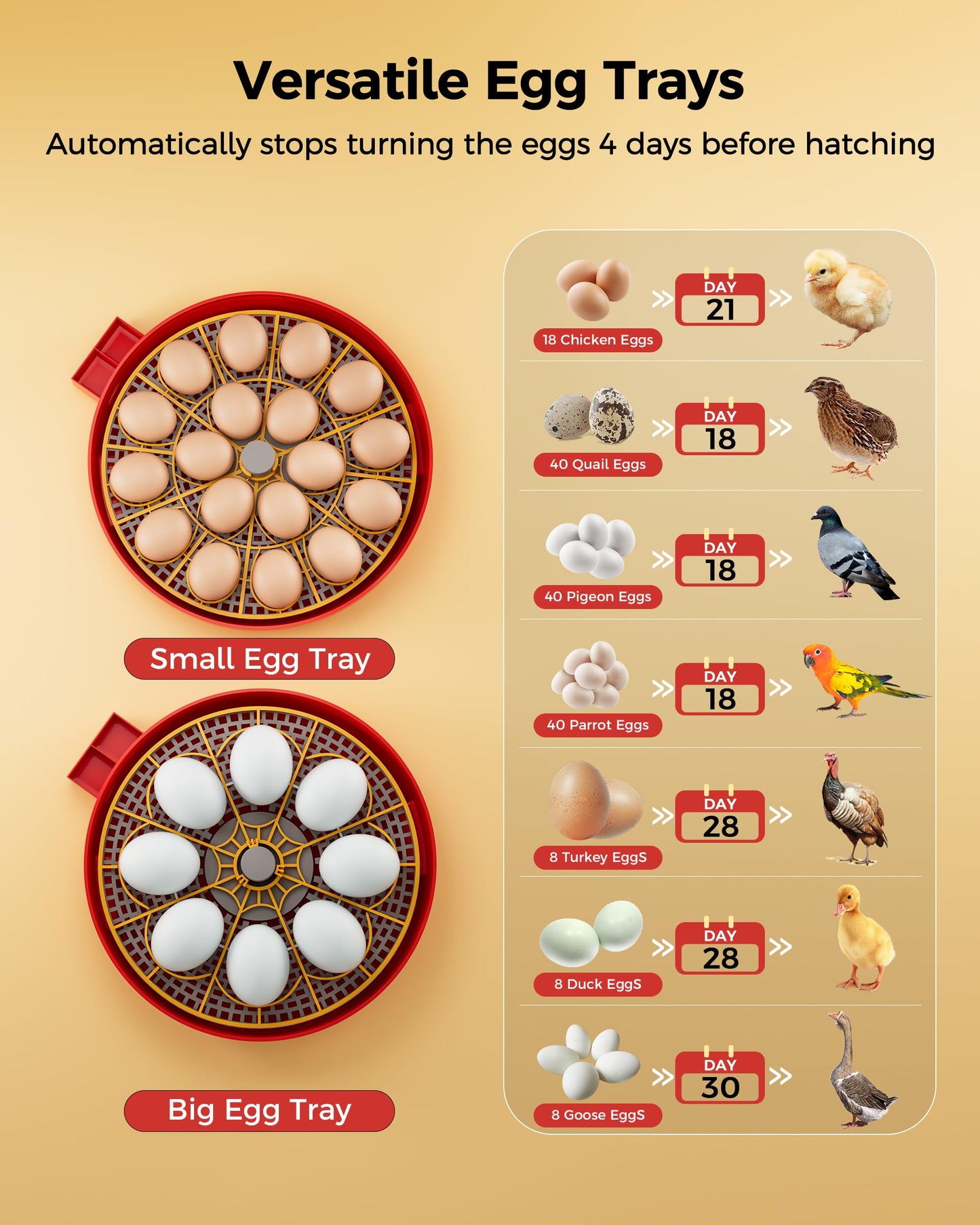 18 Egg Incubator with Automatic Egg Turning and Humidity Control, 360° Viewing, Dual Size Egg Trays for Chicken, Duck, Goose, Turkey, Quail, and Parrot Eggs, Ideal for Farm, Classroom, Home Use