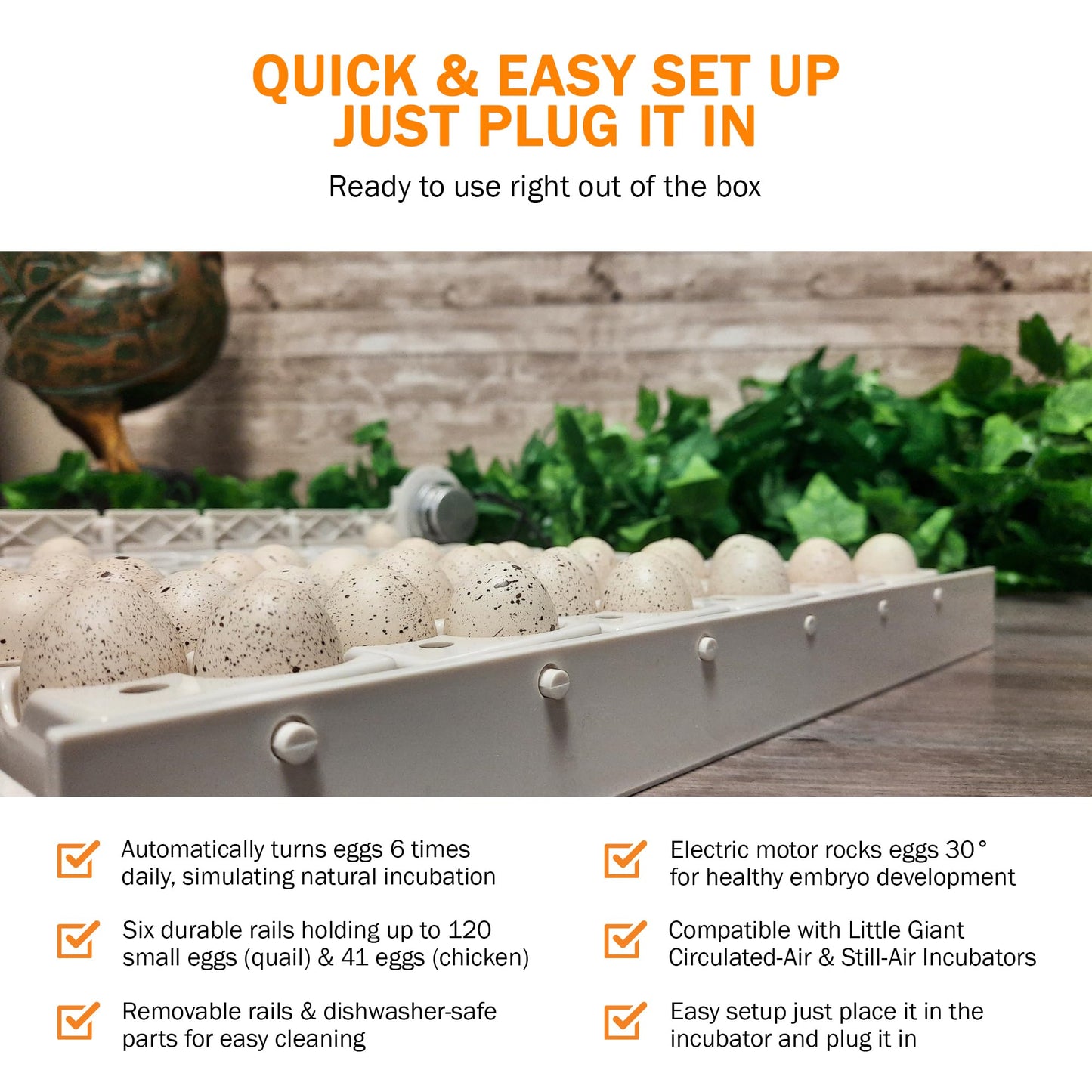 Little Giant Automatic Egg Turner 6300 w Quail Rails