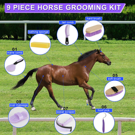 GINDOOR 9 Pieces Grooming Kit with Tote Bag, Sweat Scraper, Sponge, Hoof Pick, Curry Comb for Horse Riders Beginners (Purple)
