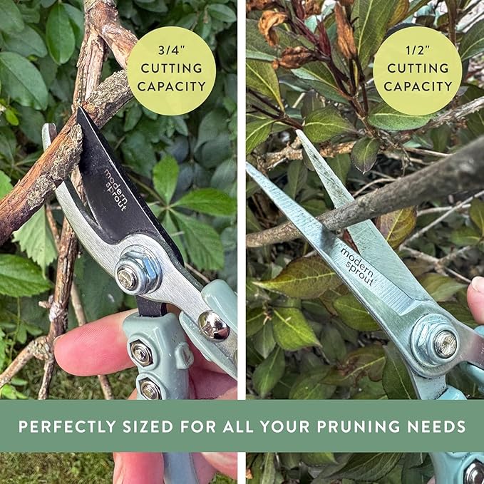Modern Sprout Hand Pruners & Shears Set with Blister Pack - Lightweight Gardening Tools with Easy Lock - Sharp Carbon Steel Blades -Rust Resistant Scissors for Herbs, Flowers - Lavender