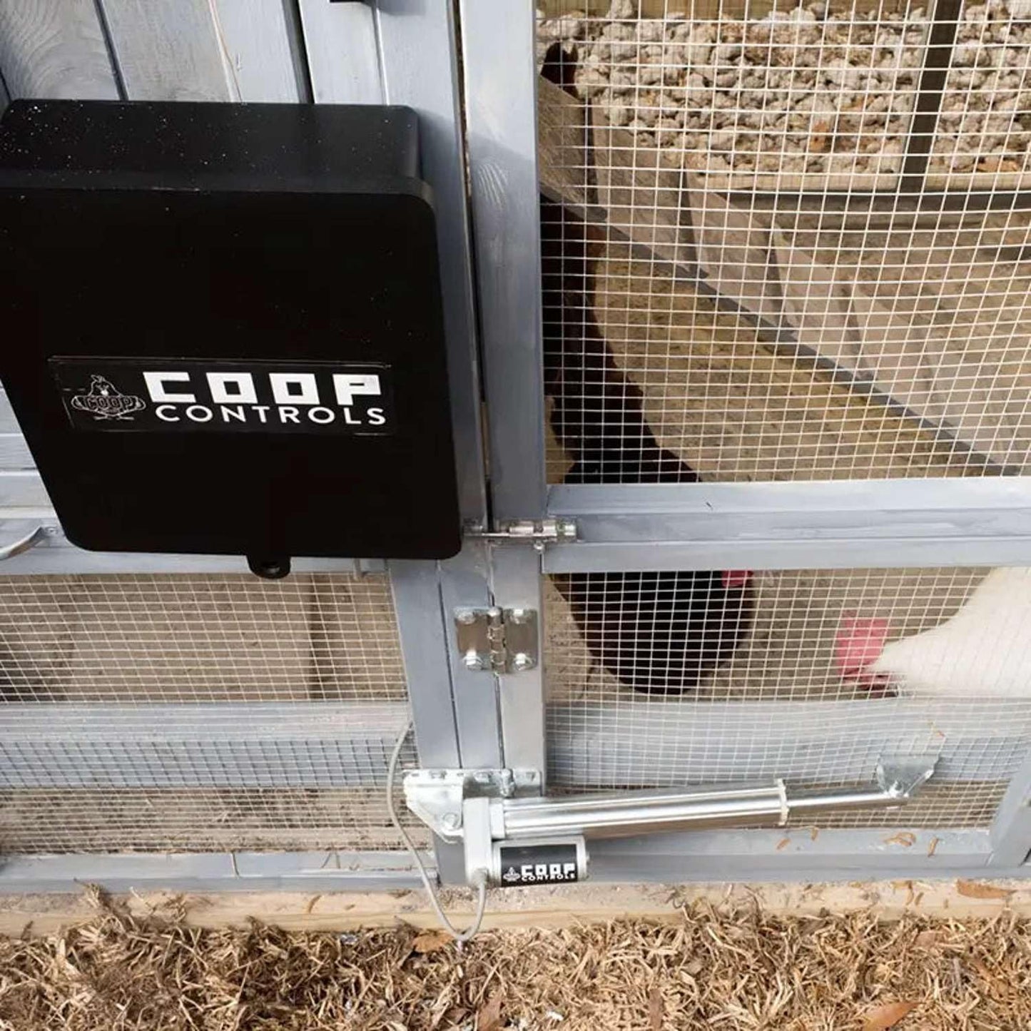 Coop Controls Automatic Chicken Coop Door Opener, Solar Capable (CKSP-Standard Kit, No Battery)