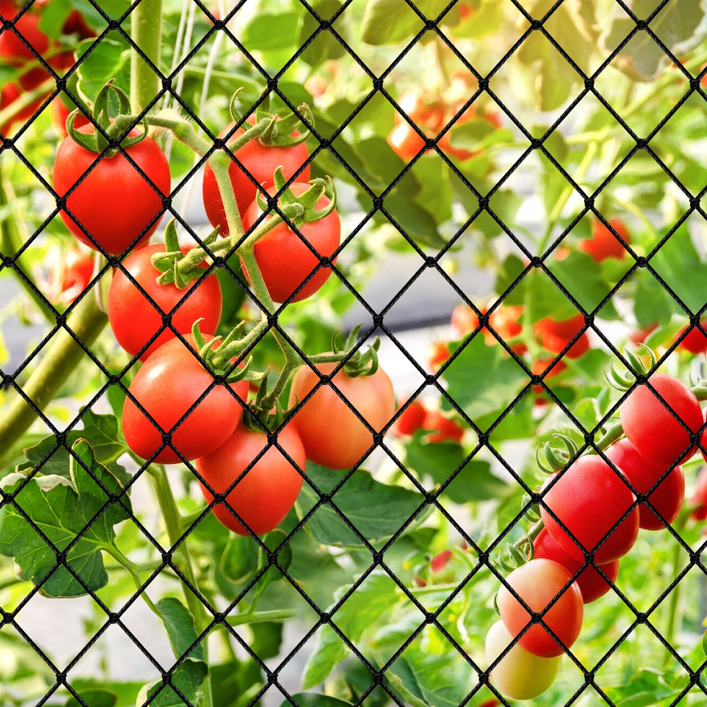 Heavy Duty Garden Netting - 100'x100' Poultry Netting for Chicken Coop, 3/4 Inch Mesh, Protects Fruits, Vegetables Against Squirrels, Deer