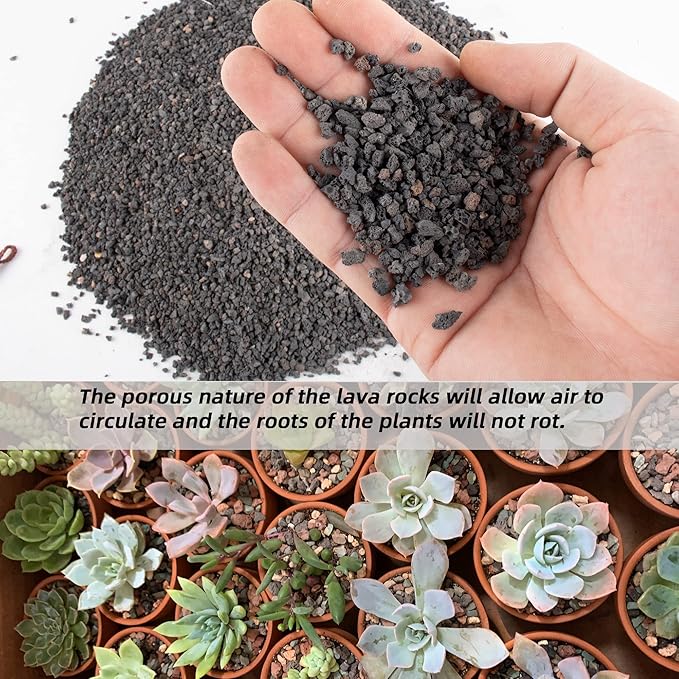 18lb Black Lava Rock for Plant, 1/8-1/4 inch Horticultural Volcanic Rock Soil for Decorative Landscaping Bonsai, Cacti, Succulents Plants Top Dressing for Release Excess Water