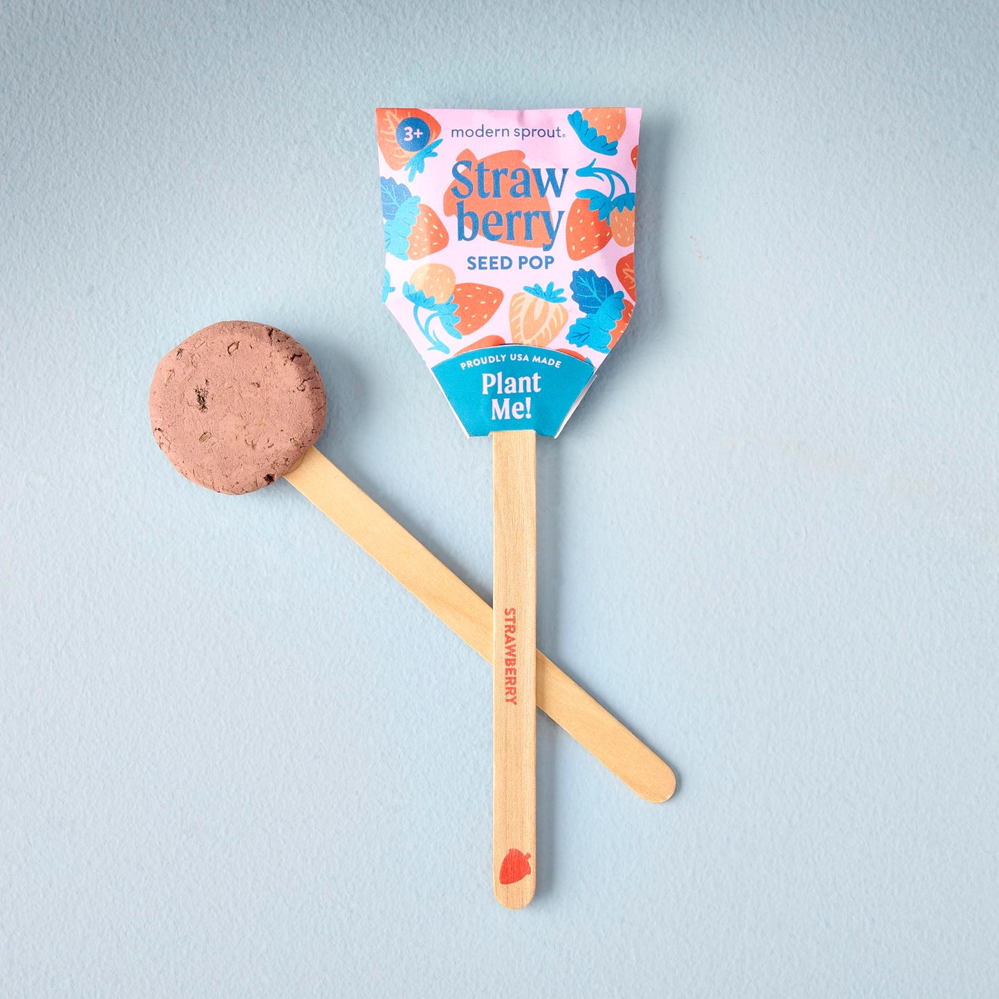 Modern Sprout Seed Pops - Organic Non-GMO Carrot, Strawberry & Basil Seeds for Planting - Fun Family Activity - Ideal for Indoor & Outdoor - Playful Gift for Kids, Adults and Plant Lovers (Pack of 12)