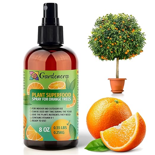 𝐁𝐄𝐒𝐓𝐒𝐄𝐋𝐋𝐄𝐑 Plant Superfood for Orange Tree with B1 Vitamin, Glucose and Essential Minerals - Organic Plant Food Fertilizer for Indoor & Outdoor Orange Trees Care - 8oz