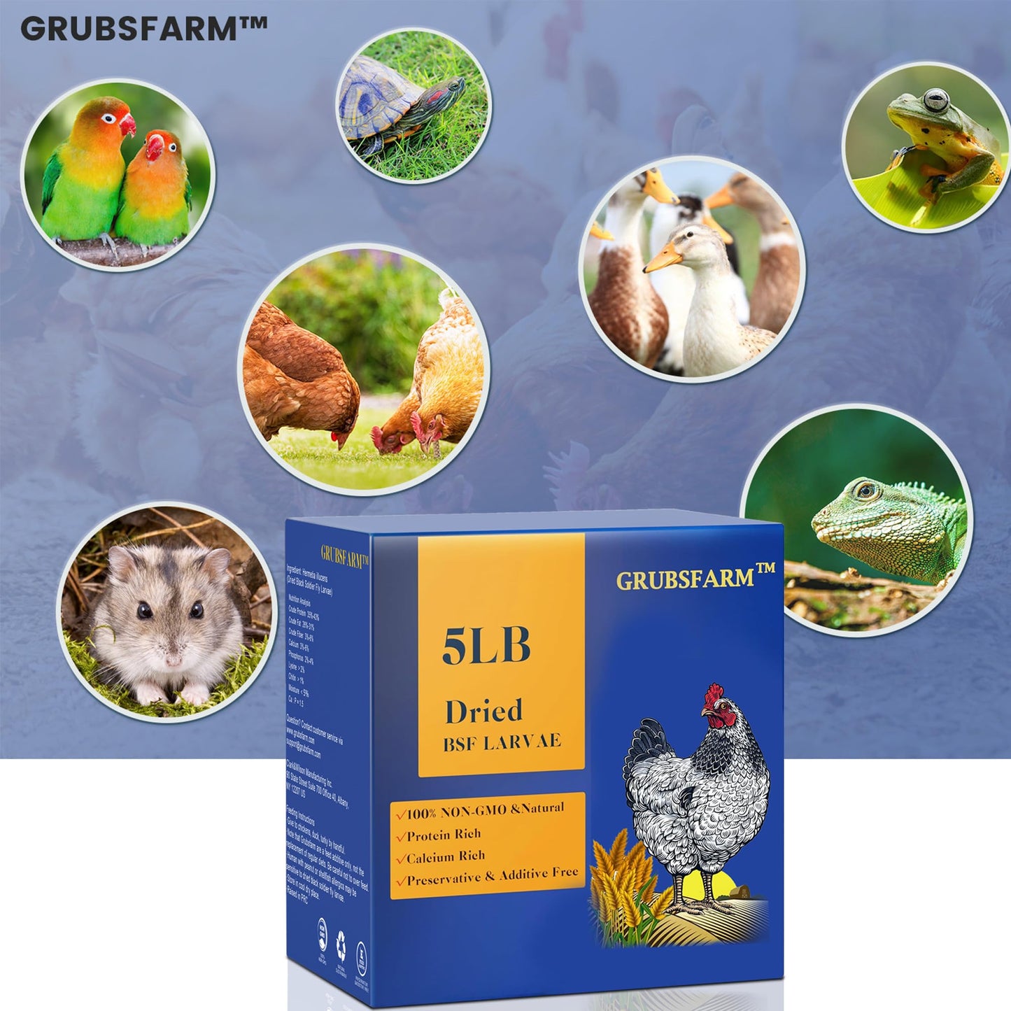 GRUBSFARM Superior to Dried Mealworms for Chickens 5lb - 85X More Calcium Than Mealworms - Non-GMO Chicken Feed - Molting Supplement - BSFL Treats for Hens, Ducks, Turkeys, Wild Birds, Quails