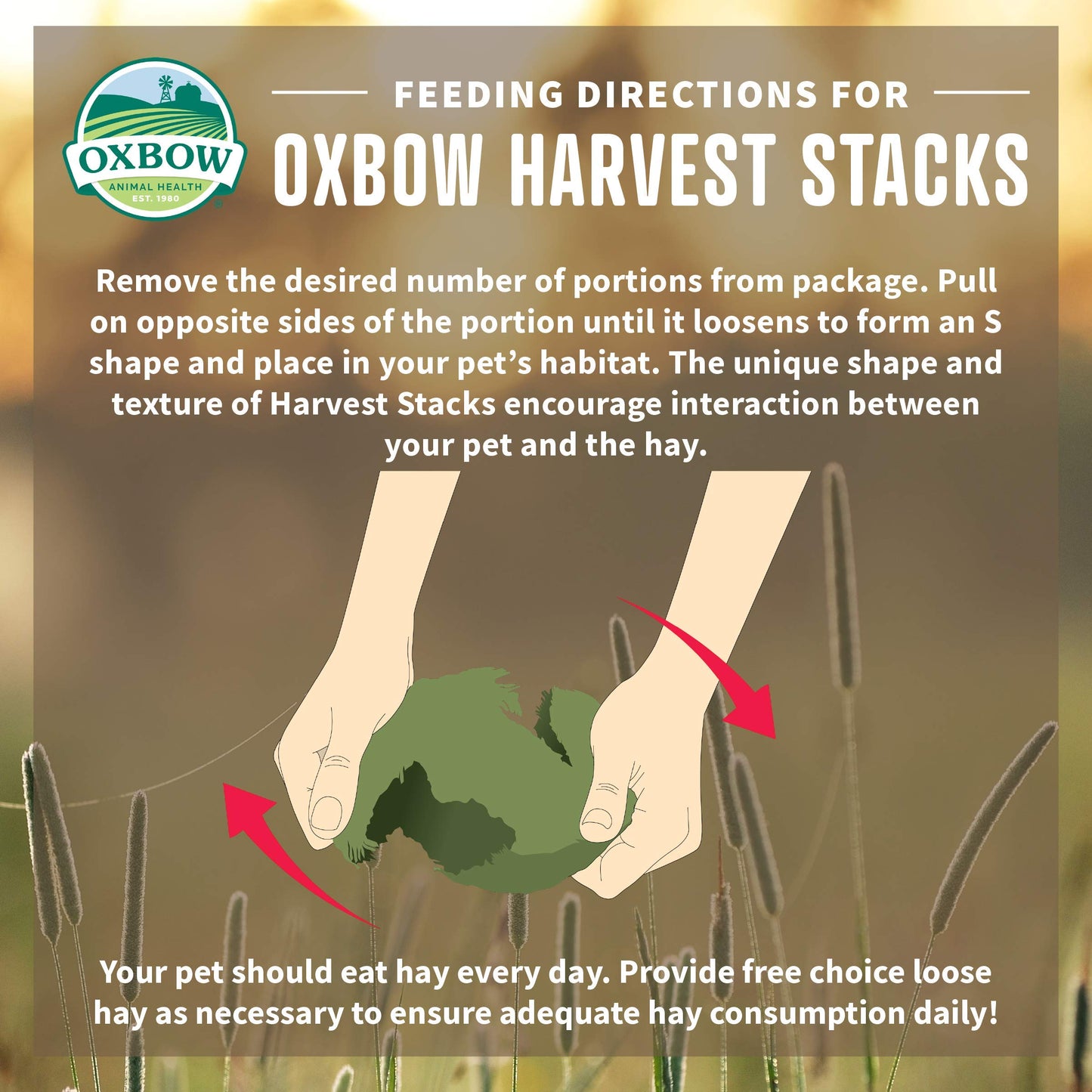 Oxbow Animal Health Harvest Stacks, Western Timothy Hay with Carrots, Guinea Pig Hay, Small Pet Bunny Supplies, Western Timothy for Rabbits, Guinea Pigs, Chinchillas, Hamsters & Gerbils, 35 oz.