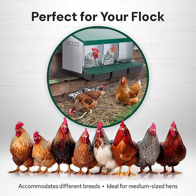 Compact Style 3 Compartment, Forward Rollout & Rollaway, Hen & Chicken Nesting Box with Protective Egg Laying Collection Lids