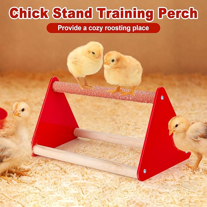 Chick Feeder and Waterer Kit, Plastic Baby Chicken Feeder and Waterer Set with Chick Perch