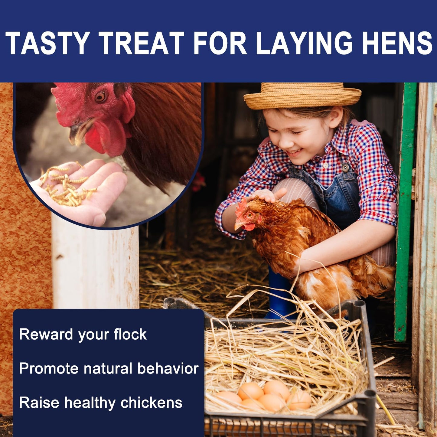 RANZ 2LBS Non-GMO Dried Mealworms for Chickens, High Protein Meal Worms, Premium Chicken Feed, Whole Large Mealworms for Blue Birds, Ducks, Fish