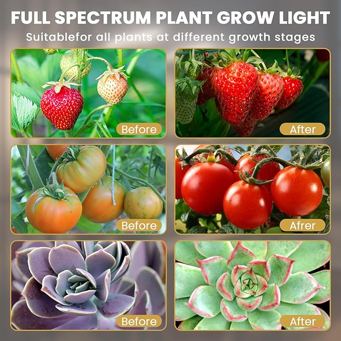 bseah Grow Light for Indoor Plants, Full Spectrum Plant Grow Lamp with 3/9/12H Timer, Auto ON & Off, Clip-On Desk for Seed Starting 2 Pack