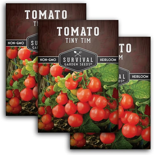 Survival Garden Seeds - Tiny Tim Tomato Seeds for Planting - 3 Packs with Instructions to Grow in Your Home Vegetable Garden - Non-GMO Heirloom Variety