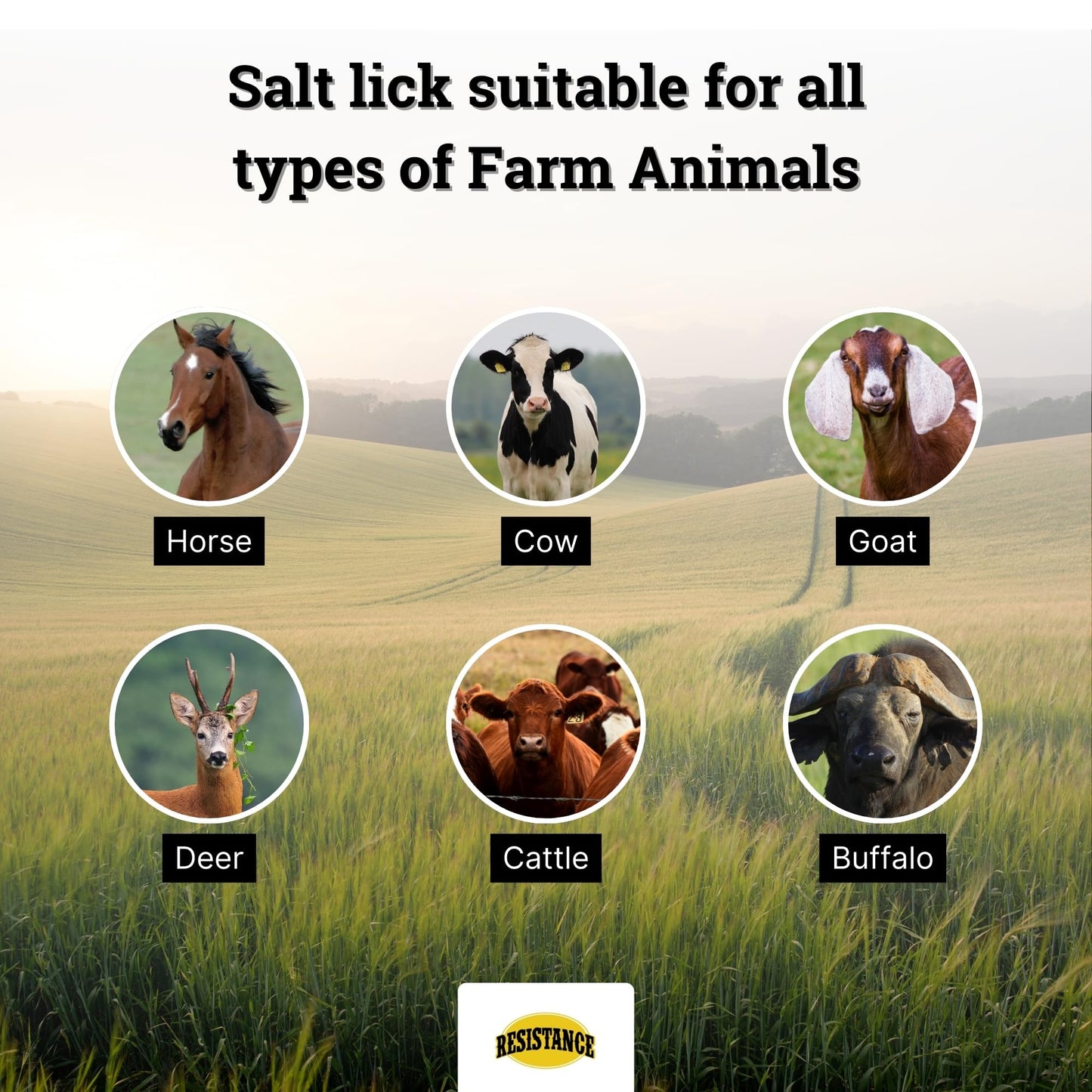 RESISTANCE Himalayan Salt Lick 2lb Block on Rope for Horses, Cattle, Deer, Goats, and Livestock – Pack of 6 Blocks