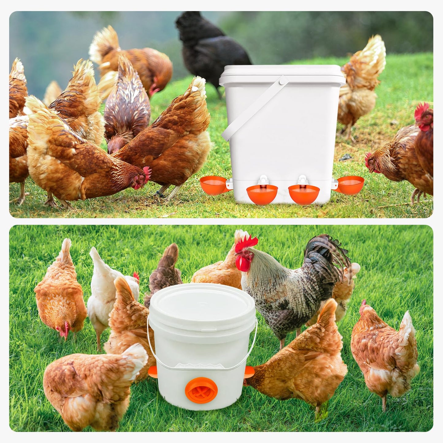 No Waste Chicken Feeder and Waterer Set, Automatic Chicken Feeder Ports & Large Waterer Cups, with Rat Stopper Caps, DIY Poultry Water Feeder kit with 2 Sizes of Hole Saws (6+6 Packs)