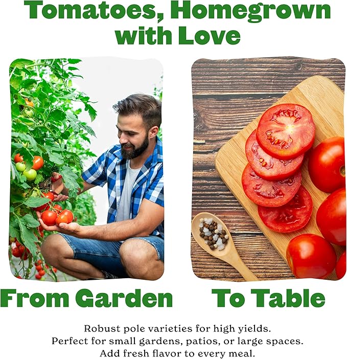 Epic Gardening Tomato Lovers Seed Bundle - 5 Juicy Varieties, Includes Brandywine, Chadwick Cherry & Tropical Sunset, Grow Non-GMO Tomatoes for Salads, Sauces & Fresh Snacking
