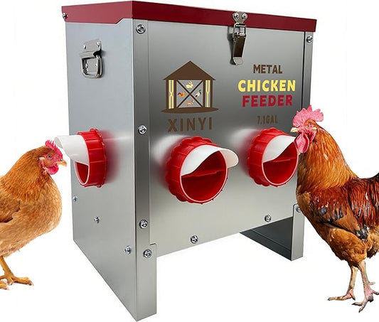 XINYI 35 lb Automatic Chicken Feeder 6 Ports, Metal Chicken Feeder No Waste, Rodent Proof Chicken Food Dispenser System, Weatherproof Duck Feeder 7.1 Gallon