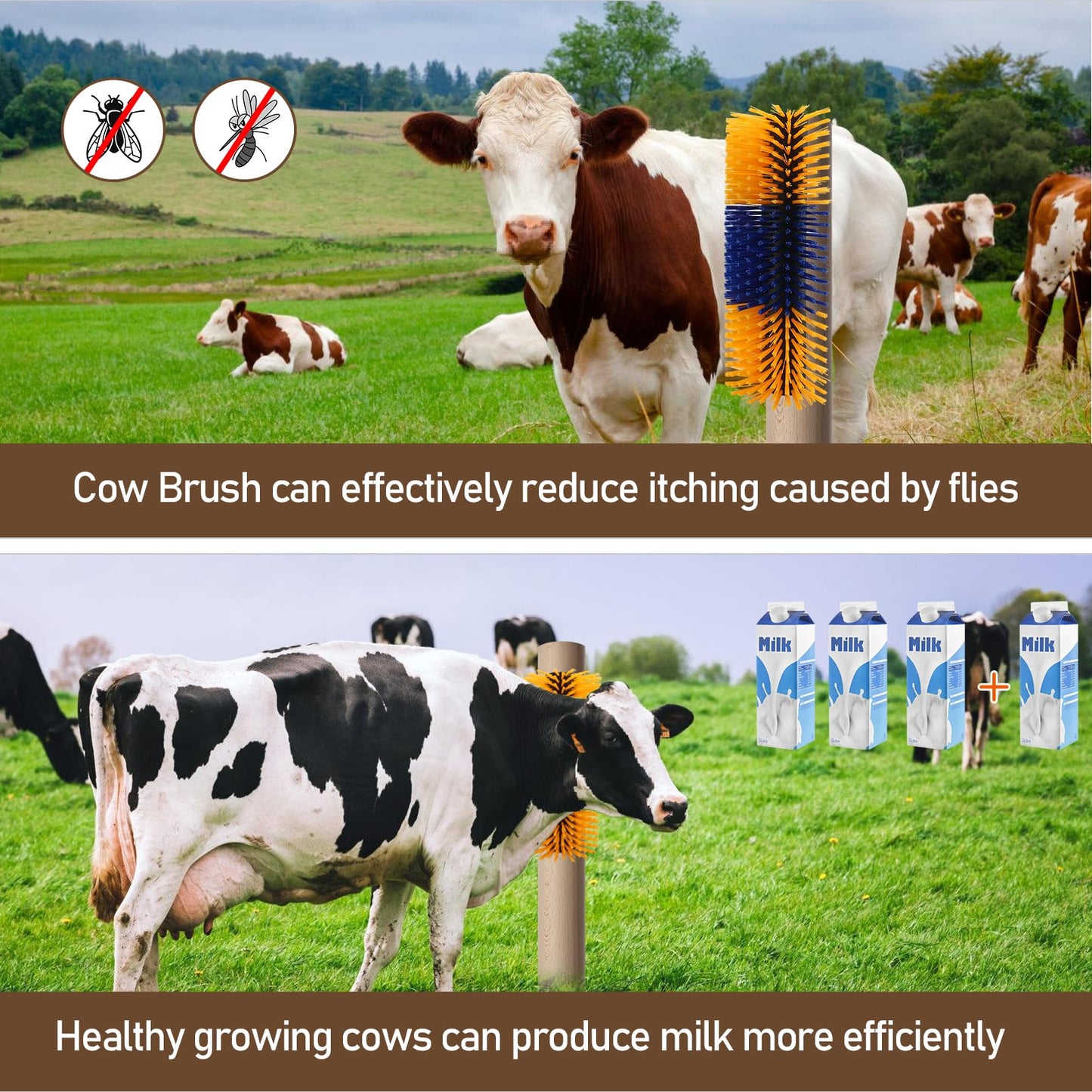Livestock Scratch Brush with Screws, Grooming Brushes for Cow, Horse, Goat, Livestock Brushes For Scratching,Relieve Itching on the Back for Cow Cattle Sheep Horses Pigs (1PCS)