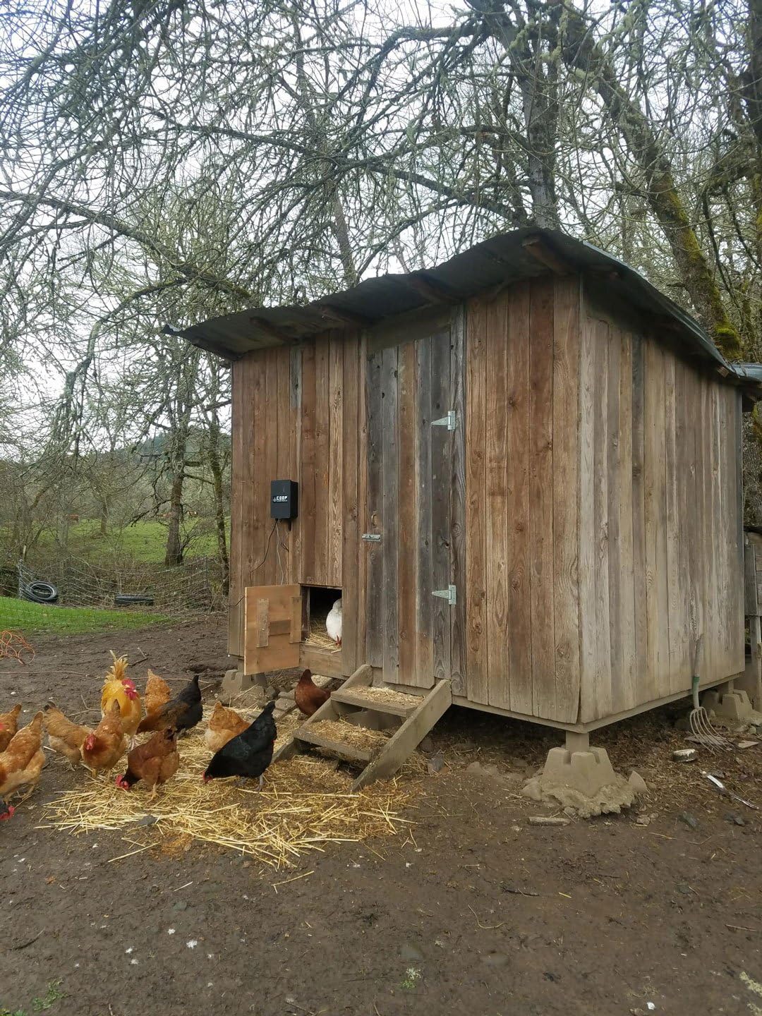 Coop Controls Automatic Chicken Coop Door Opener, Solar Capable (CKSP-Standard Kit, No Battery)