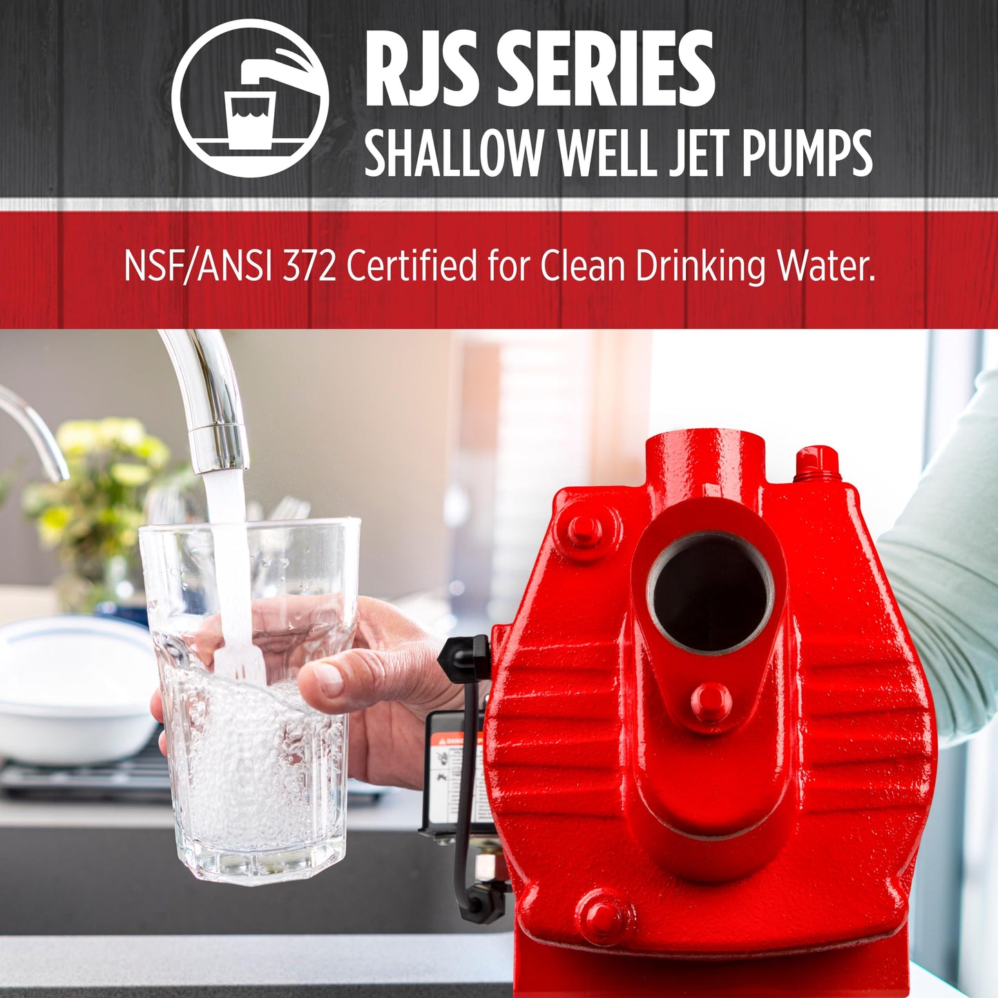 Red Lion RJS-75-PREM 3/4 HP, 16 GPM, 115/230 Volt, Premium Cast Iron Shallow Well Jet Pump, Red, 602207