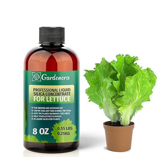 𝐏𝐑𝐄𝐌𝐈𝐔𝐌 Liquid Silica Plant Supplement - 8oz (250mL) - Lettuce Plants Liquid Silica Boost Fertilizer - Stronger Stems & Healthy Leaves for Indoor & Outdoor Lettuce Plants (Makes 45 Gallons)