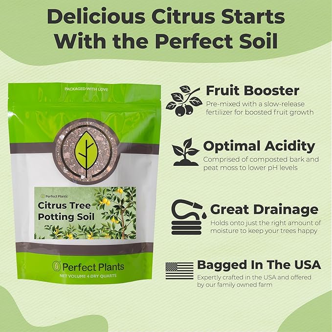 Citrus Tree Potting Soil by Perfect Plants | Organic Premium Mix | Use with Lemon Trees, Lime Trees, or Other Citrus Plants (4qt)