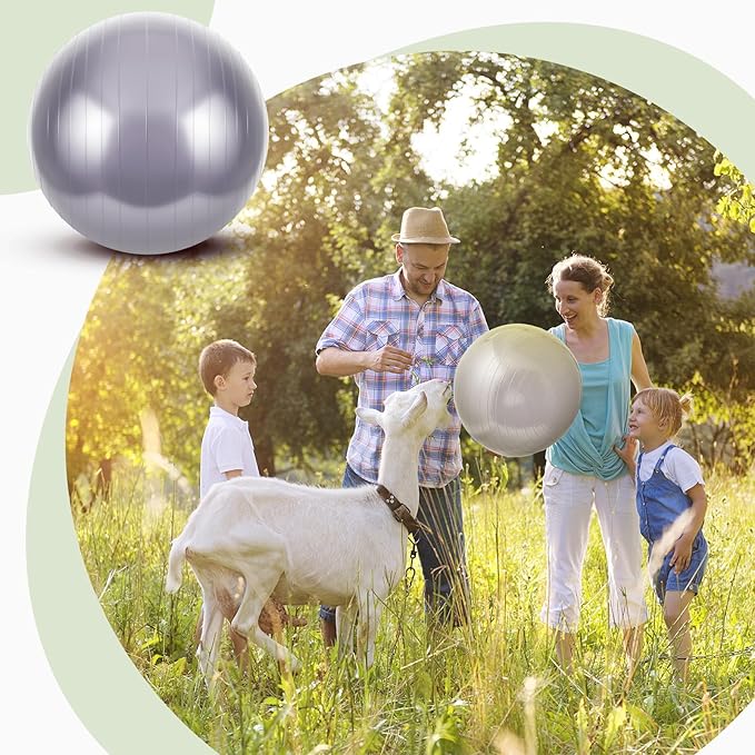 Sotiff 2 Pcs Herding Goat Ball Large PVC Exercise Training Ball with Inflator Pump for Dogs, Goats, Horses Outdoor Entertainment