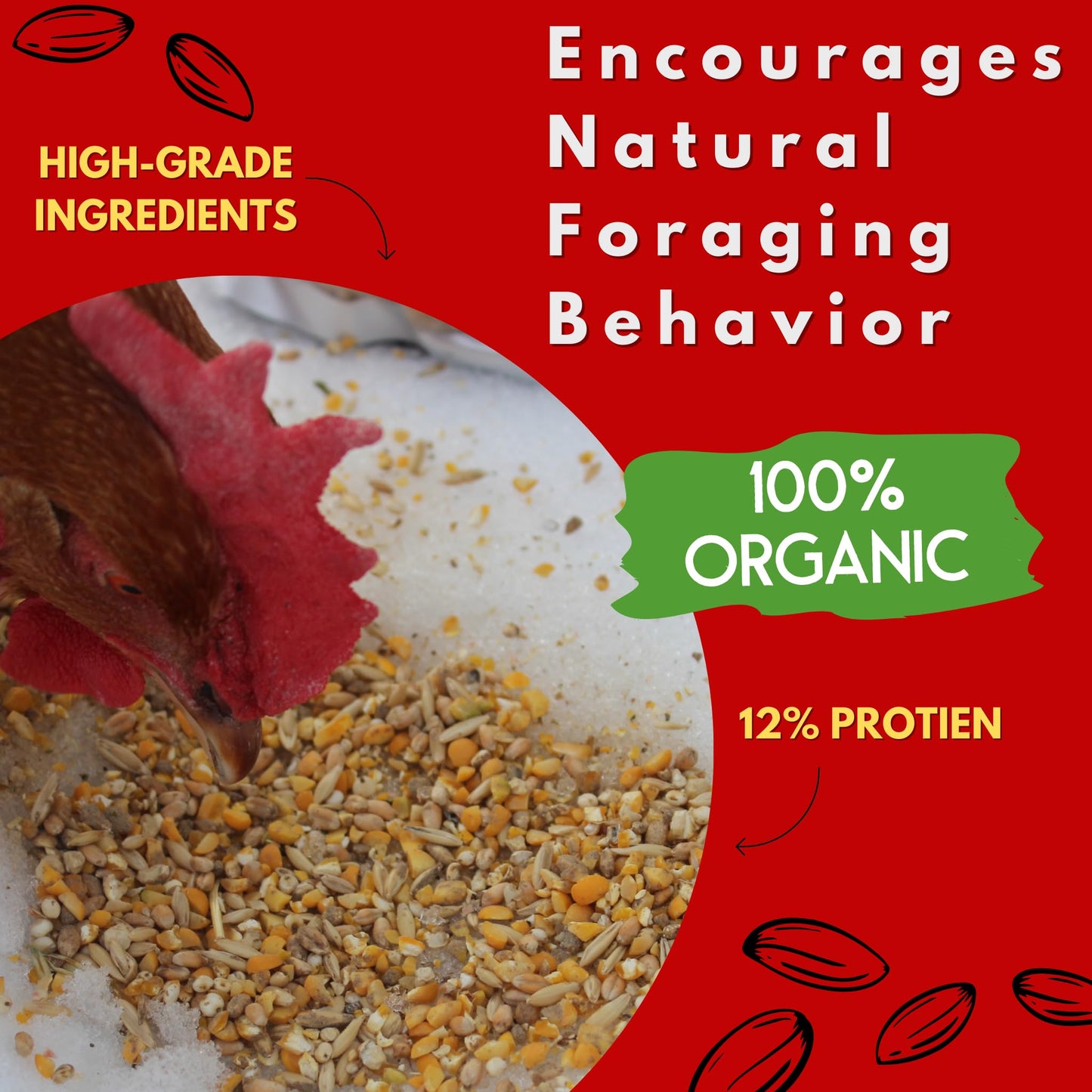 Chicken’s Choice Organic Chicken Scratch 5 lb Bag. Organic 5 Grain High Protein Premium Scratch Grain Treats & Food For Poultry, Duck & other Birds - Non-Gmo Chicken Feed, Soy Free Natural Ingredients
