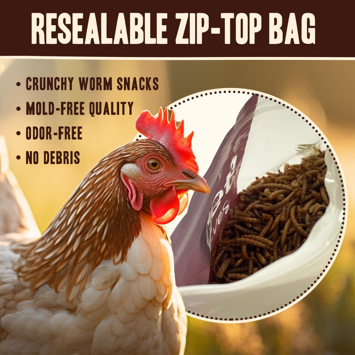 Pet Faves Dried Mealworms for Chickens, Birds, Hamster, Reptile and Turtle - Premium Non-GMO Treats with 55% Protein for Laying Hens - Organic Food for Wild Bird, Bluebirds, Robins, Cardinals. 2 Lb