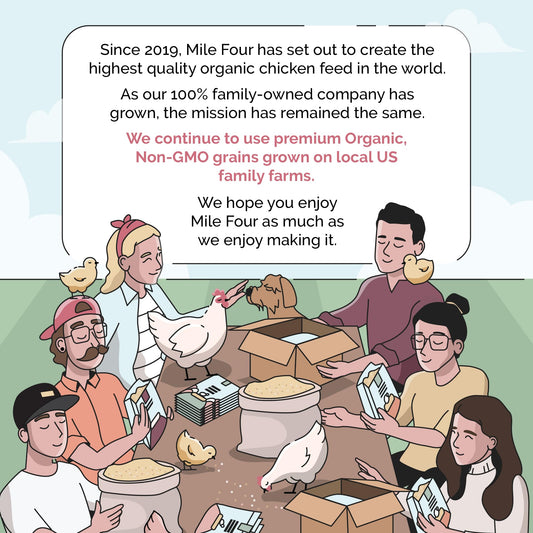 Mile Four Organic Chicken Feed – Layer Whole Grain, Non-GMO, USA Grown, 16% Protein, Corn-Free, Soy-Free, Non-Medicated Feed for Chickens, 2 lb Sample