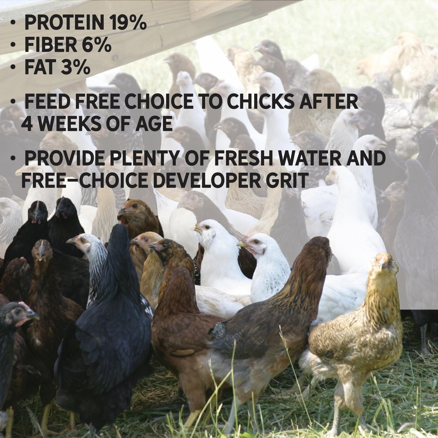 New Country Organics | Pastured Perfect Grower/Broiler Feed for Growing Chickens | Corn-Free and Soy-Free | 19% Protein | Certified Organic and Non-GMO | 40 lbs