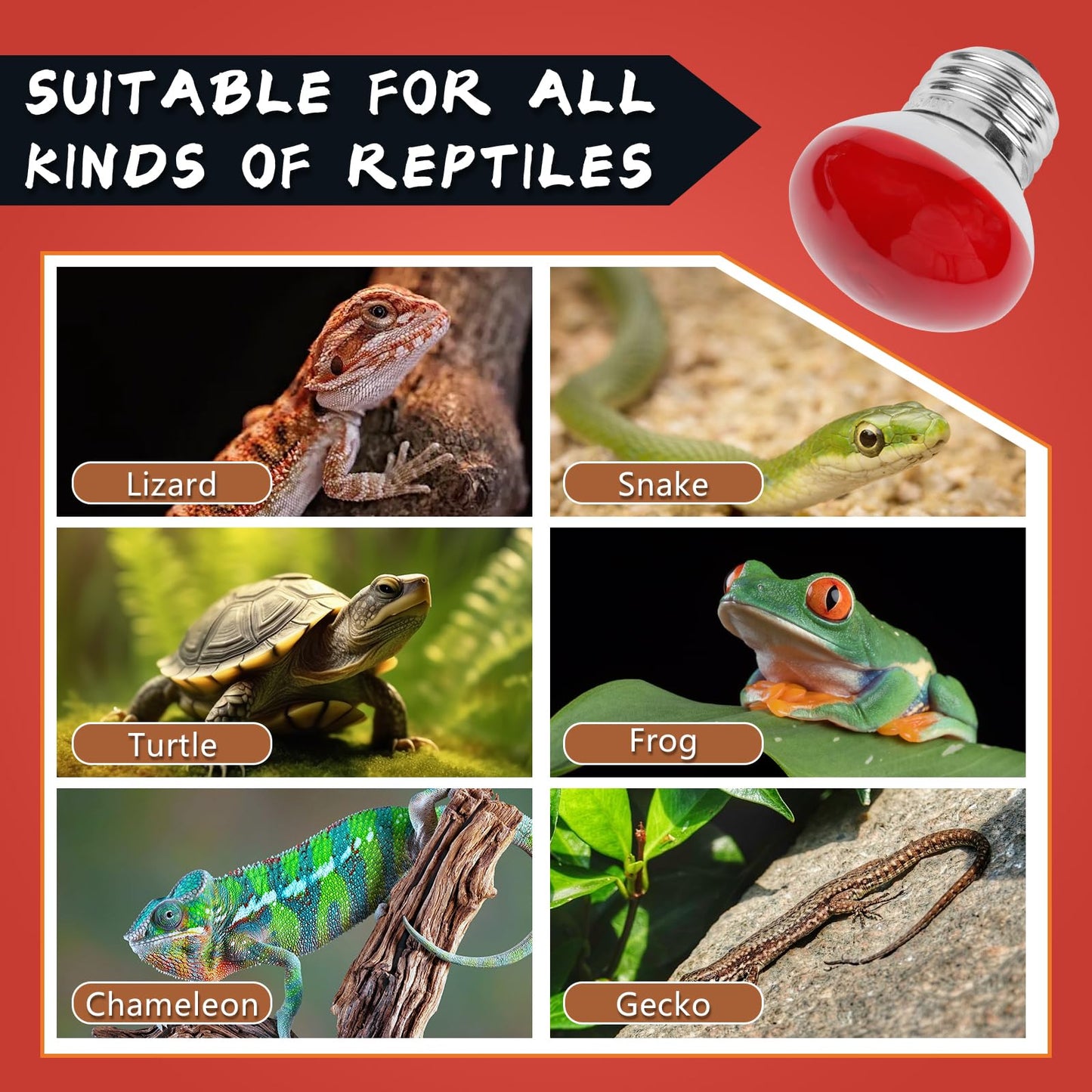 LUCKY HERP Infrared Heat Lamp, 40W Reptile Heat Lamp 2 Pack Red Heat Lamp Bulbs, Infrared Basking Spot Heat Light Bulb, Amphibians Heat Lamp Bulbs for Reptile, Geckos, Snakes, Lizard, Turtle