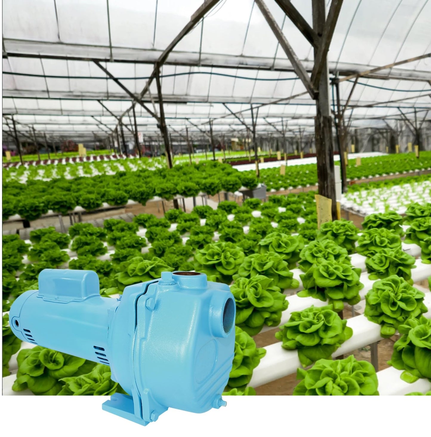 Little Giant LSPH-200-C 2 HP, 230 Volts, 84 GPM, 57 PSI High Pressure Sprinkler/Irrigation Pump, Blue, 558298