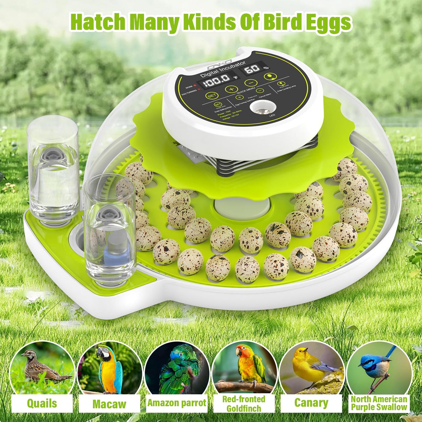 Quail Egg Incubator for Hatching Eggs with Automatic Egg Turning and Humidity Control 40 Eggs Large Capacity Quail Brooder Poultry Incubators, Also for Parrot, Dove, Canary and Other Birds