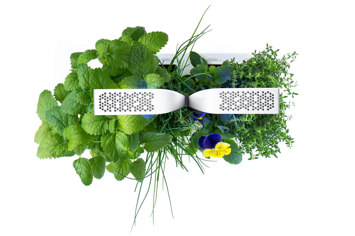 Véritable® Classic (White) - Indoor Vegetable Garden Made in France - Smart Autonomous Garden Delivered with 4 Ingots®.