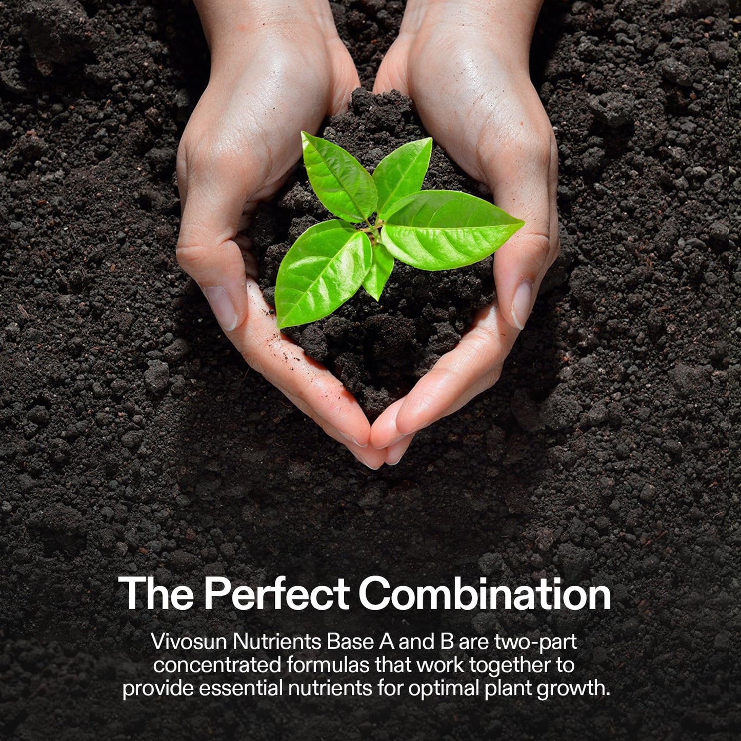 VIVOSUN Nutrient Solution Complete Set, Base A & B Bundle, Bloom Juice (0-6-4), Flowering Supplement Fertilizer, Cal+Mag+Iron (2-0-0), Calcium, Seaweed and Kelp Fertilizer and pH Up & pH Down Kit