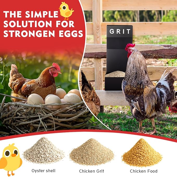 Leinuosen 4 Pack Metal Chicken Oyster Shell and Grit Feeder Combo with Large Opening Hanging Chicken Feeder Trough Automatic Gravity Poultry Coop Accessories Water Dispenser for Chicks, Ducks, Quail