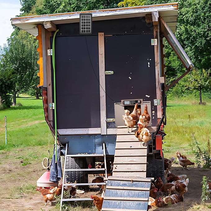 Automatic Chicken Coop Door with Horizontal Dual Opening, Remote & Manual Control, USB Backup, Predator-Proof Larger Opening Size House Door Solar Powered for Chicken, Duck and Poultry, Gold