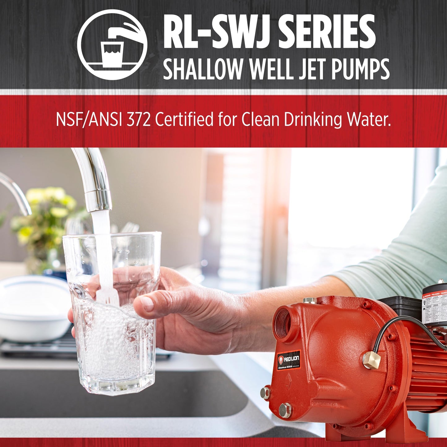 Red Lion RL-SWJ100 1 HP, 17 GPM Dual Voltage (115/230 Volts) Cast Iron Shallow Well Jet Pump, Red, 97081001